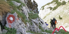 Gradacija težine planinskih/ planinarskih staza u alpskim zemljama