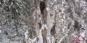 Skakavac
