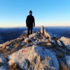 Elvir