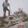 Miljana
